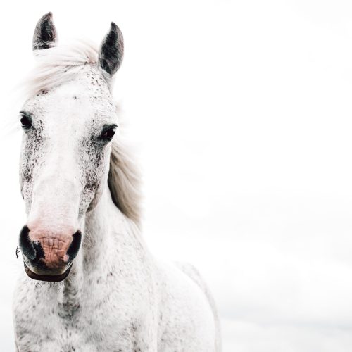 Leben Lieben Lernen - Persönlichkeitsentwicklung